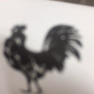 Meet your Posher, Gregory